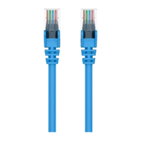 Belkin 1 m Category 6 Network Cable for Network Device - First End: 1 x RJ-45 Network - Male - Second End: 1 x RJ-45 Network - Male - Patch Cable - -
