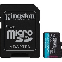 Kingston Canvas Go! Plus SDCG3 256 GB Class 10/UHS-I (U3) microSDXC - 170 MB/s Read - 90 MB/s Write