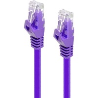 Alogic 30 cm Category 6 Network Cable for Network Device - First End: 1 x RJ-45 Network - Male - Second End: 1 x RJ-45 Network - Male - 1 Gbit/s - -