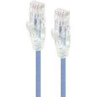 Alogic Alpha 1 m Category 6 Network Cable for Network Device - First End: 1 x RJ-45 Network - Male - Second End: 1 x RJ-45 Network - Male - Gold - -
