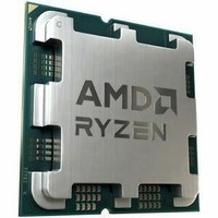 Amd Ryzen 9900X3D 12 Core Processor