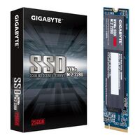 Gigabyte M.2 PCIe NVMe SSD 256GB V2 1700/1100 MB/s 180K/250K IOPS 2280 80mm 1.5M hrs MTBF HMB TRIM & S.M.A.R.T Solid State Drive 5yrs Wty