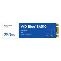 Western Digital WDS250G3B0B Blue SA510 SATA SSD M.2 2280 -5-Year Limited Warranty