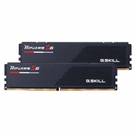 G.SKILL F5-5200J4040A16GX2-RS5K 32GB (2 x 16GB)/ DDR5 5200 MT/s