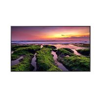 Samsung LH65QBBEBGCXXY 65' QBB Professional Display 4K UHD HDMI LAN WIFI Bluetooth VA 350cd/m2 8ms 120Hz 16/7 USB RS232  RJ-45 VESA
