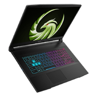 MSI Bravo Series Gaming Notebook 17.3" FHD Ryzen 7 7735HS DDR5 8GBx2 512GB SSD Windows 11 Plus Nvidia RTX 4050 GDDR6 6GB