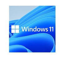 Microsoft Windows 11 Home OEM 64-bit English 1 Pack DVD. Key only NEW