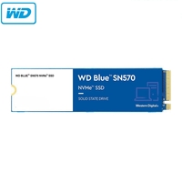 SSD WD Blue SN570 250GB 500GB 1TB M.2 2280 3D NAND NVMe SSD Up to 3500 MB/s